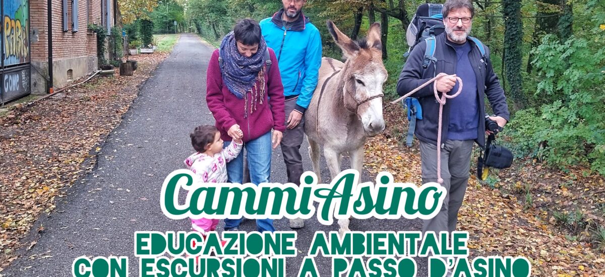 CamminAsino: escursioni per famiglie a passo d’asino