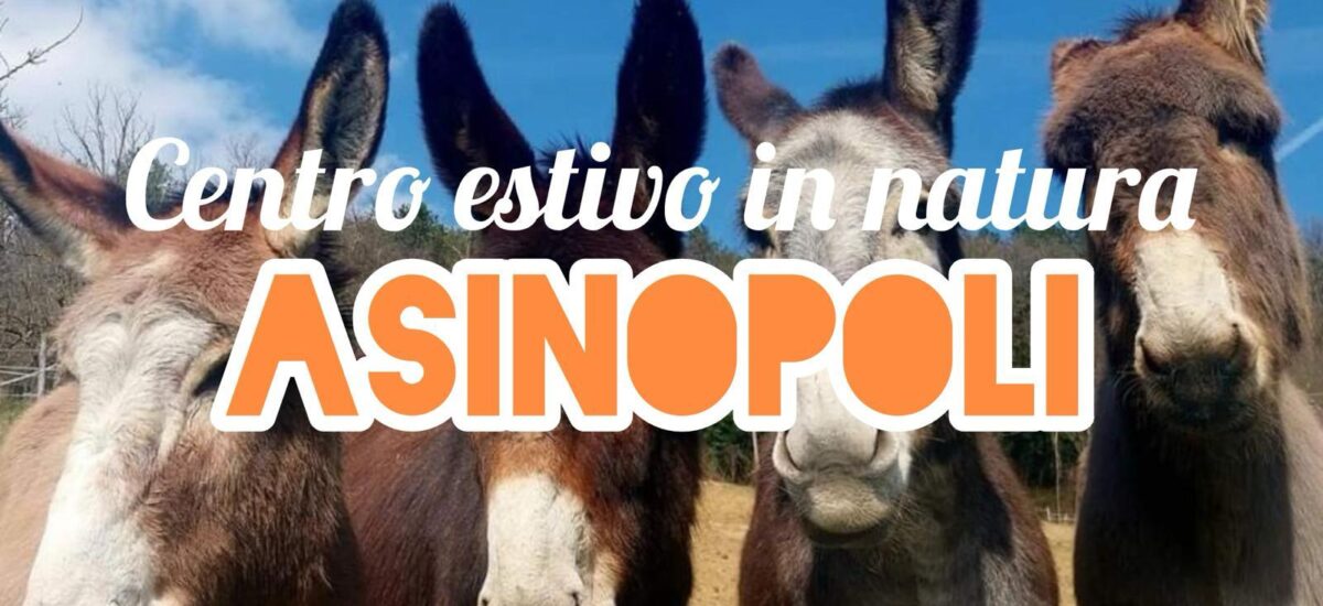 Asinopoli a Talignano: un centro estivo tra asinelli, yoga e tanto altro…
