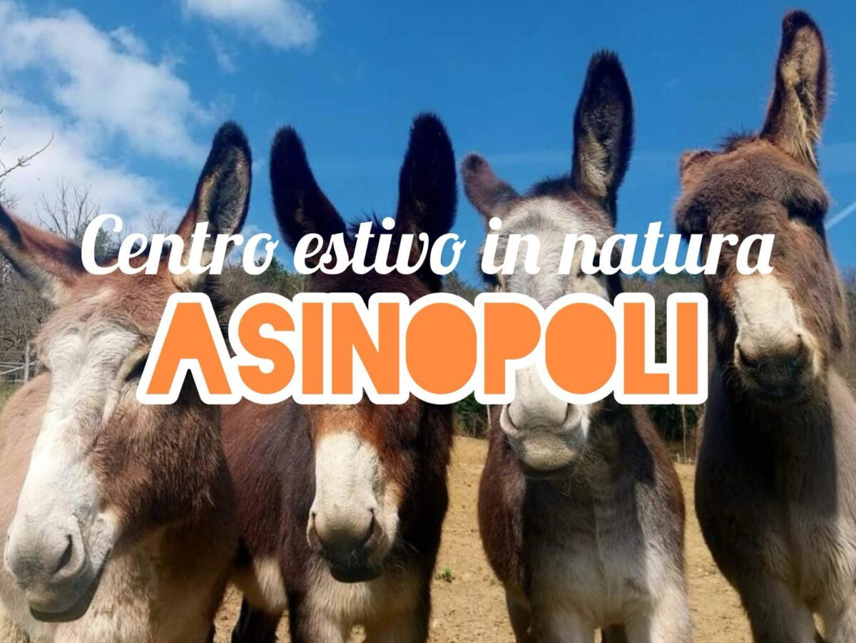 Asinopoli a Talignano: un centro estivo tra asinelli, yoga e tanto altro…