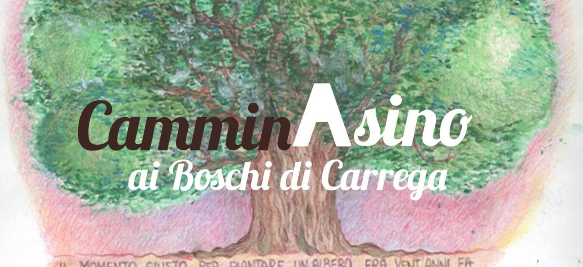CamminAsino: l’educazione ambientale in un libro per tutta la famiglia