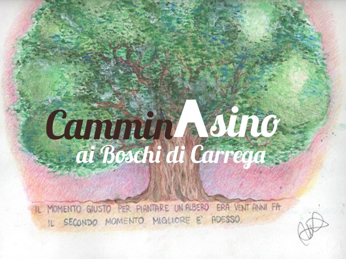 CamminAsino: l’educazione ambientale in un libro per tutta la famiglia