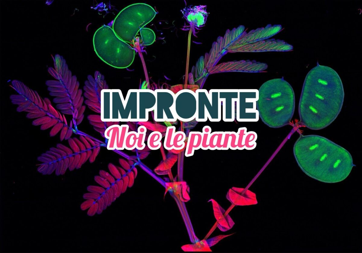 “Impronte. Noi e le piante”: una mostra per piccoli amanti della natura!