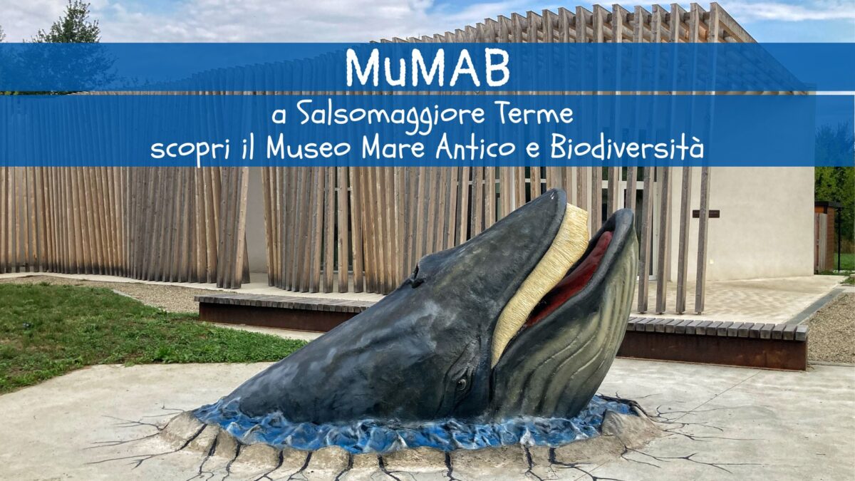 MuMAB: un museo per bambini su fossili, balenottere e mare antico a Parma!