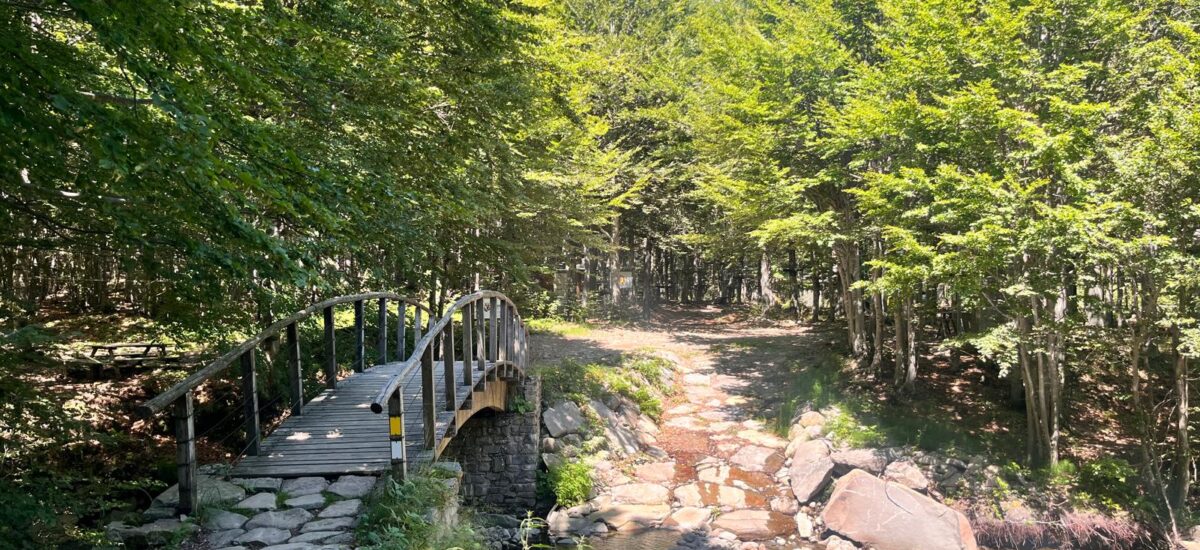 Appennino parmense: 3 laghi per famiglie con bambini