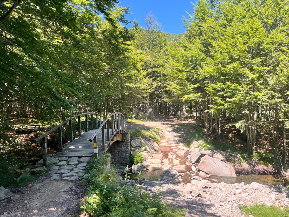 Appennino parmense: 3 laghi per famiglie con bambini