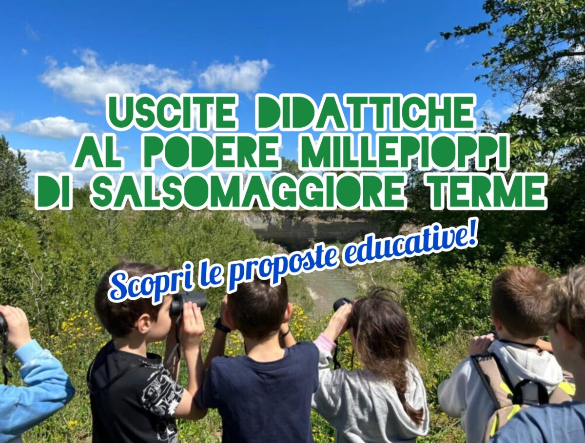 Al Museo del Mare Antico e della Biodiversità con la scuola: tutte le proposte educative!