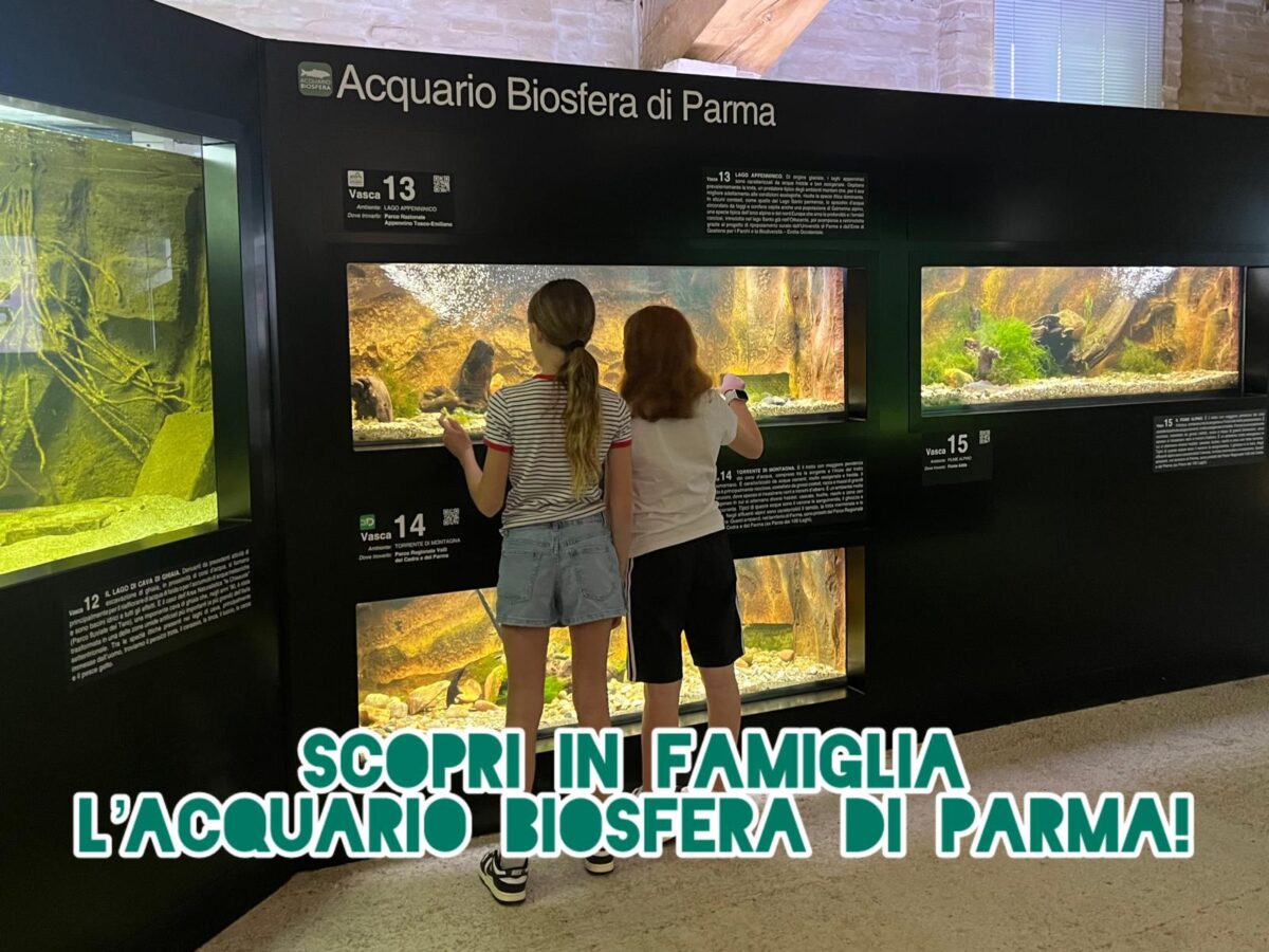 Scopri l’Acquario Biosfera di Parma: un’esperienza unica per le famiglie!