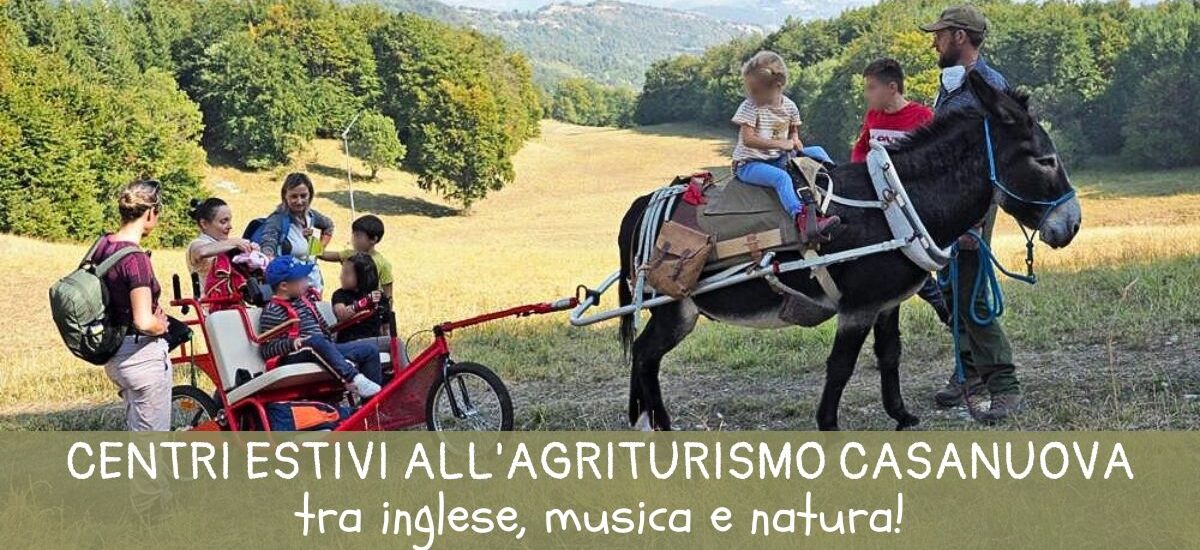 Centri estivi 2025: all’Agriturismo Casanuova tra musica, inglese e natura!