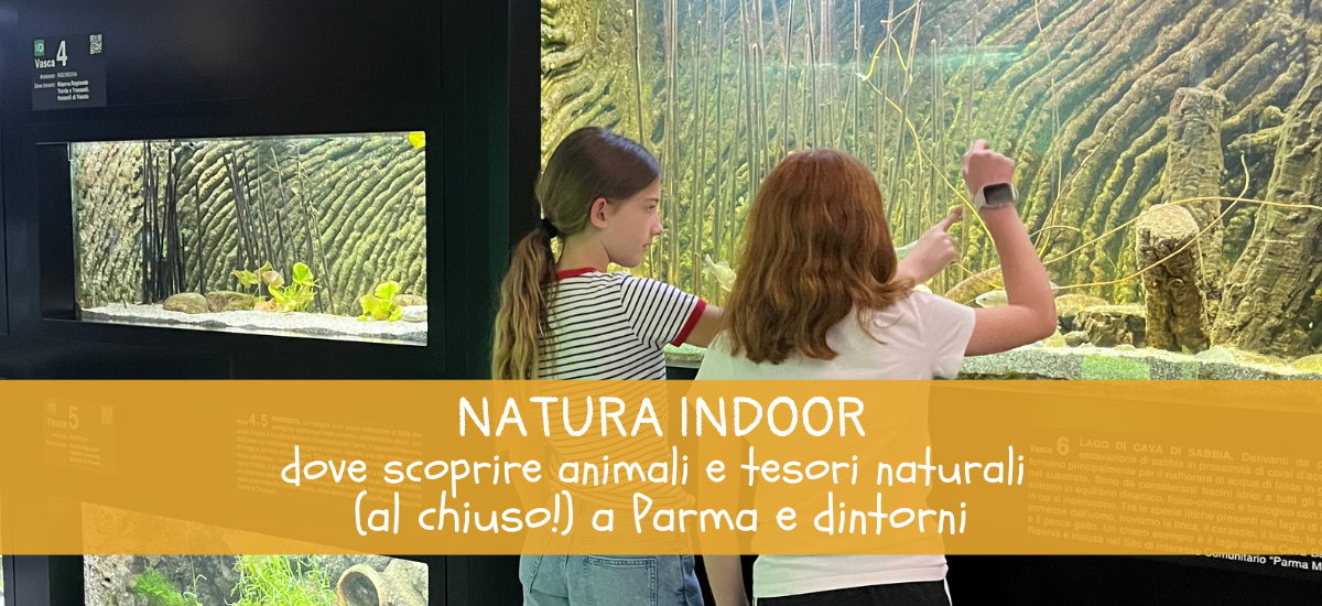 Scoprire animali e tesori naturali (al chiuso!) a Parma e dintorni