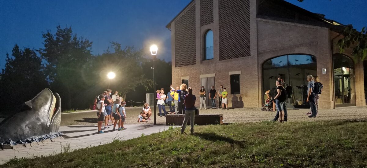 es-SERE al MuMAB, esplorazioni notturne al museo e al parco dello Stirone
