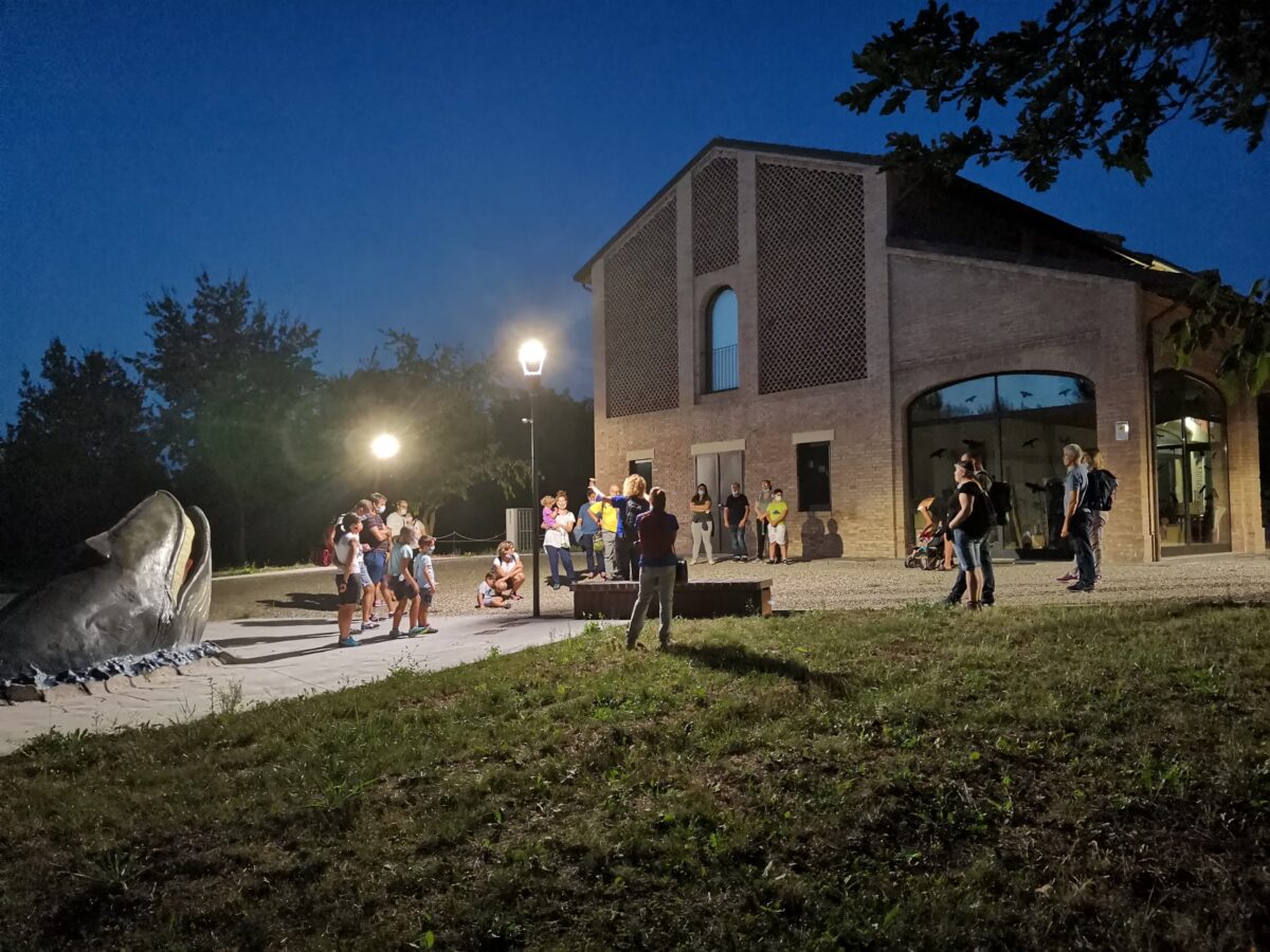 es-SERE al MuMAB, esplorazioni notturne al museo e al parco dello Stirone